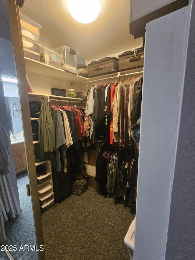 6036 W Mescal St, Glendale, AZ 85304 - walk in closet with carpet flooring