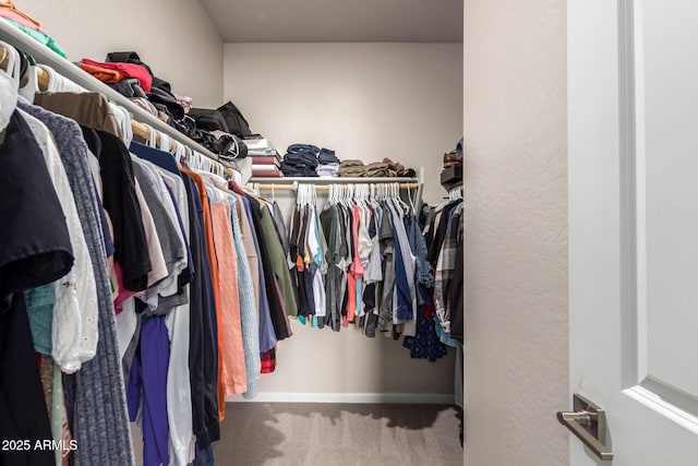spacious closet featuring carpet floors