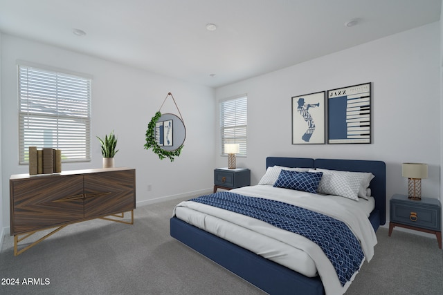 bedroom with carpet floors