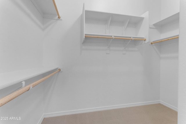 22788 E Orion Way, Queen Creek, AZ 85142 - spacious closet featuring carpet flooring
