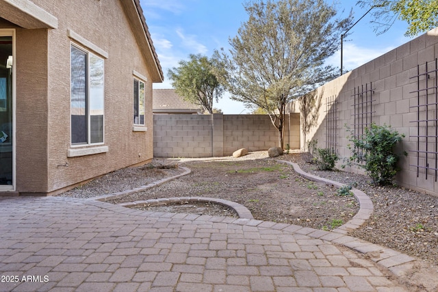 view of yard featuring a patio area