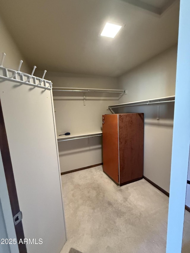 walk in closet with light carpet