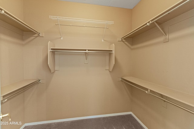 39609 N White Tail Ln, Anthem, AZ 85086 - walk in closet featuring carpet
