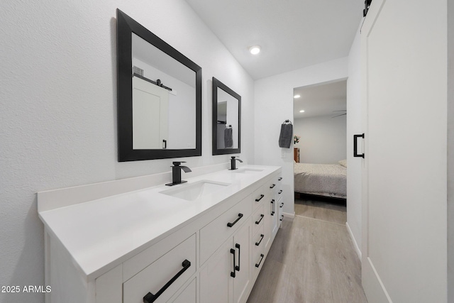 bathroom with wood-type flooring and vanity