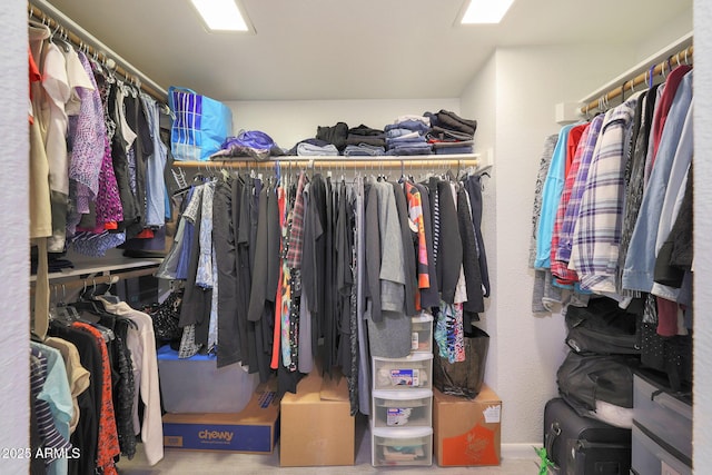 view of spacious closet