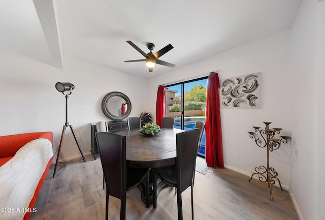 dining area with ceiling fan and light hardwood / wood-style flooring