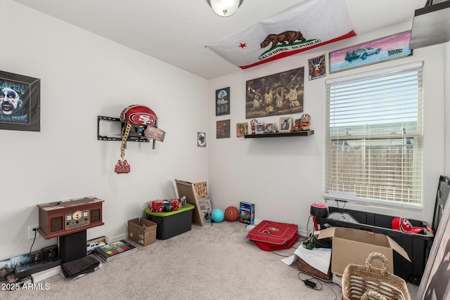 playroom with carpet floors