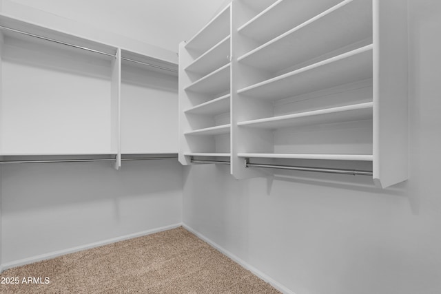 spacious closet with carpet