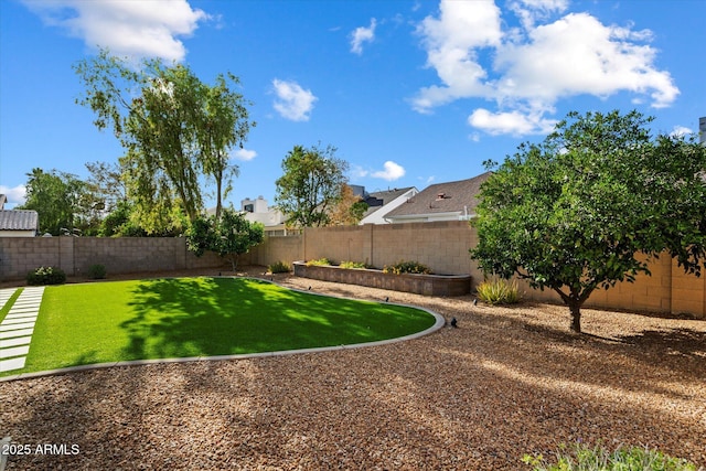3350 E Rosemonte Dr, Phoenix, AZ 85050 - view of yard