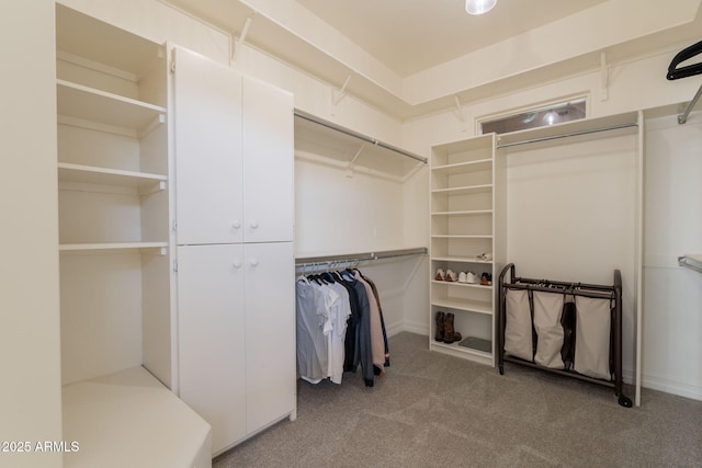 8502 E Santa Catalina Dr, Scottsdale, AZ 85255 - walk in closet with carpet flooring
