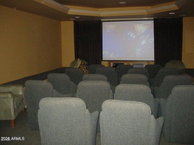 cinema with ornamental molding and a tray ceiling