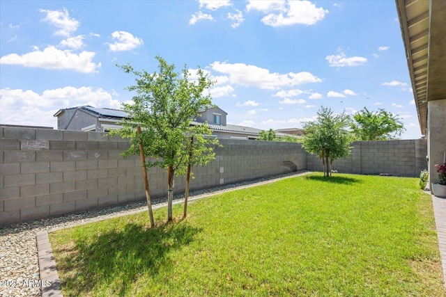 1895 N 141st Ave, Goodyear, AZ 85395 - view of yard
