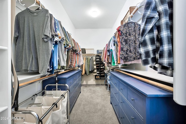 spacious closet with light carpet