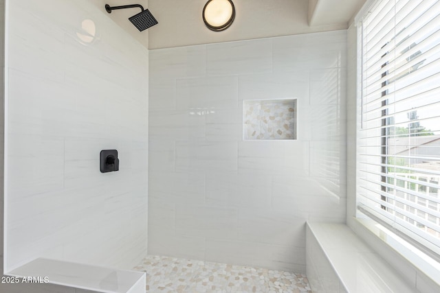 4933 E Downing St, Mesa, AZ 85205 - bathroom featuring a tile shower