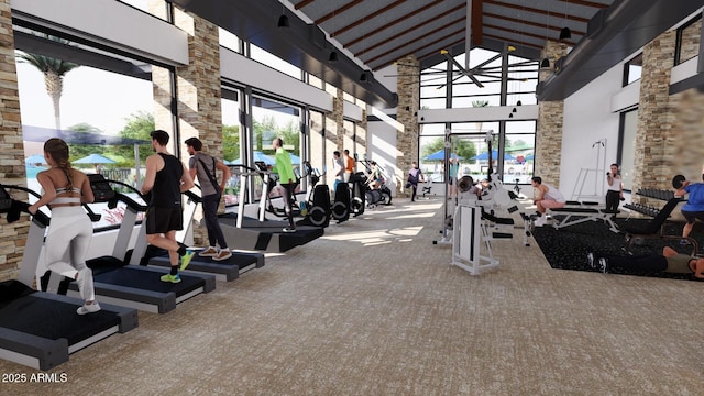 workout area with carpet floors, a healthy amount of sunlight, and high vaulted ceiling