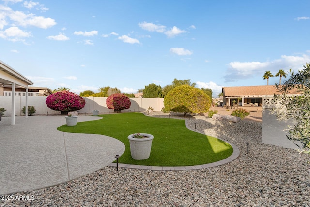 view of yard featuring a patio