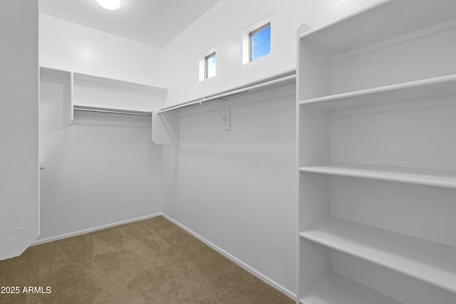 walk in closet with carpet