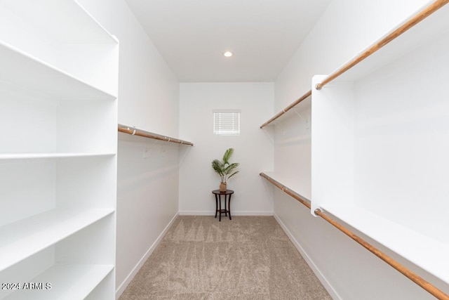 spacious closet with light colored carpet