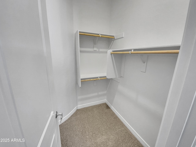 spacious closet with carpet floors