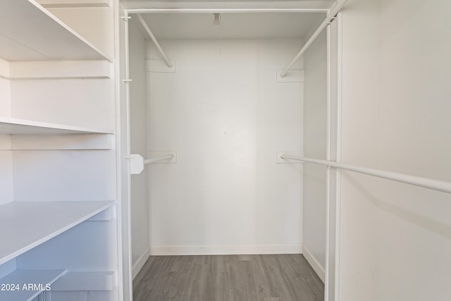 spacious closet with hardwood / wood-style flooring