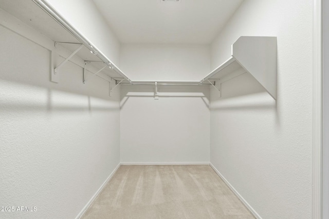 spacious closet featuring light colored carpet