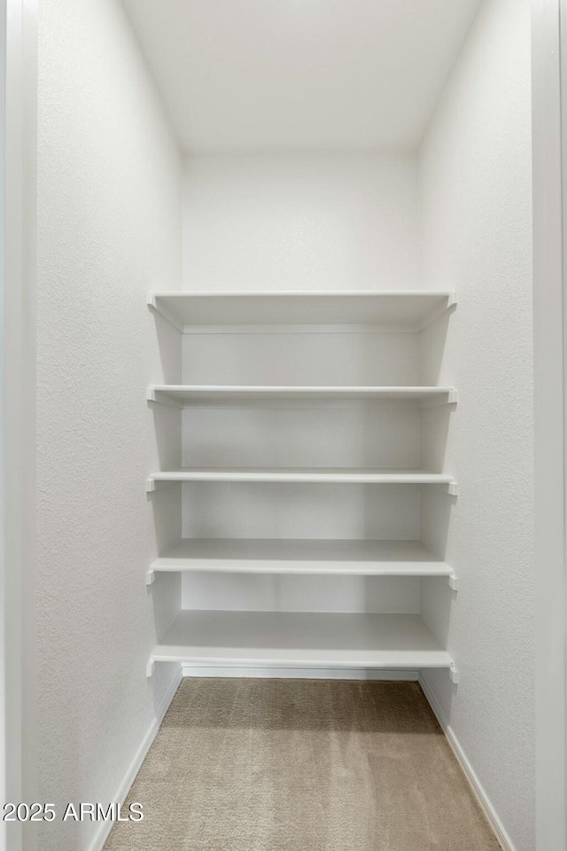 spacious closet featuring carpet flooring