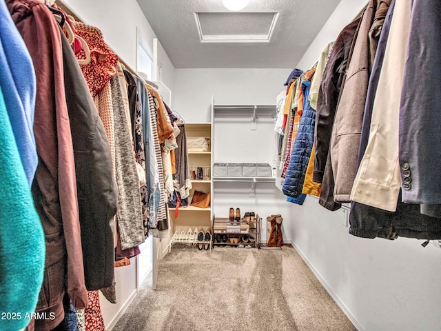 4132 W Tunnel Mine Rd, New River, AZ 85087 - spacious closet with attic access and carpet