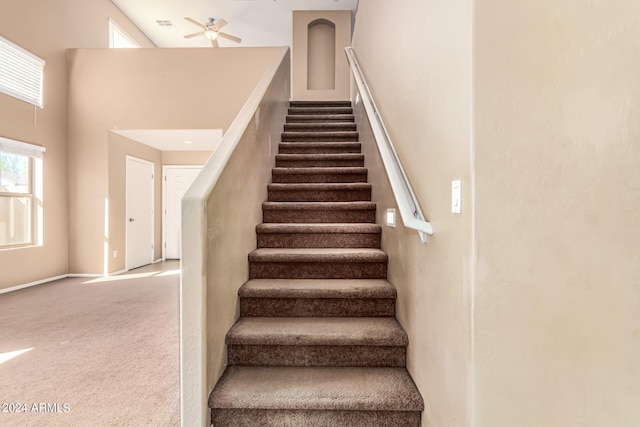 stairs featuring ceiling fan, carpet, and a high ceiling