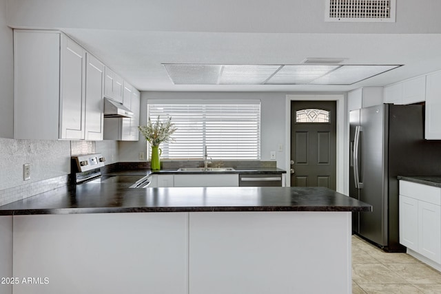 3106 S Extension Rd, Mesa, AZ 85210 - kitchen featuring a sink, stainless steel appliances, dark countertops, under cabinet range hood, and a peninsula