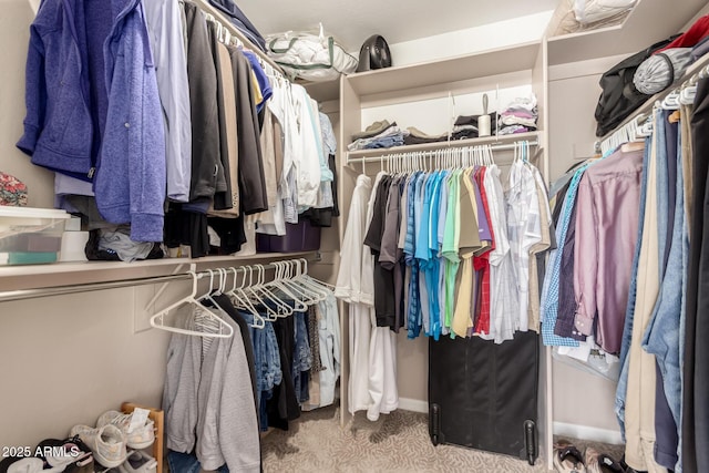 3412 E Kristal Way, Phoenix, AZ 85050 - walk in closet with carpet