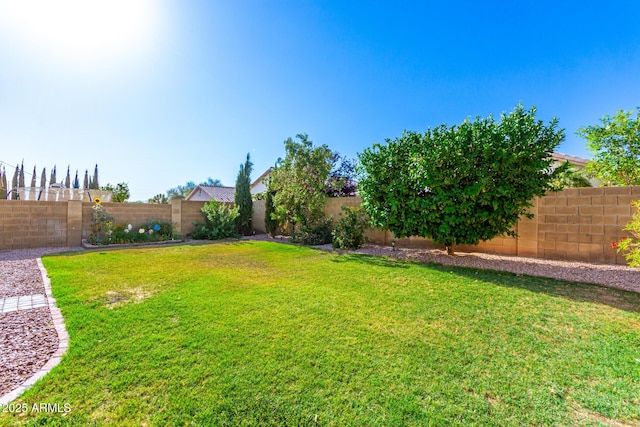 3412 E Kristal Way, Phoenix, AZ 85050 - view of yard
