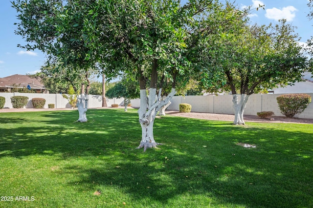 view of yard featuring a fenced backyard