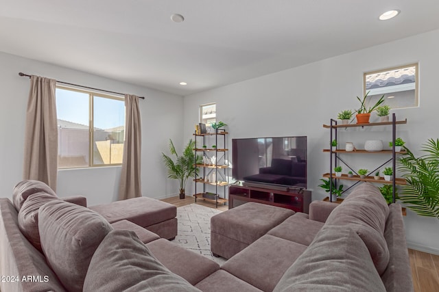 living room featuring plenty of natural light and light hardwood / wood-style floors