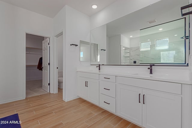 bathroom with vanity, toilet, and a shower