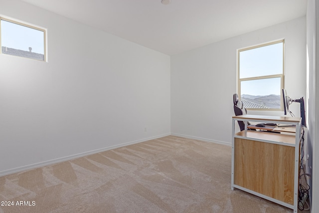 office featuring a wealth of natural light and light carpet