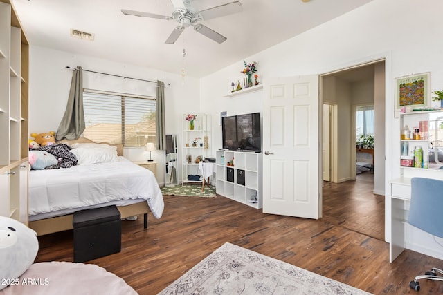 3381 E Canary Way, Chandler, AZ 85286 - bedroom with wood finished floors, multiple windows, and ceiling fan