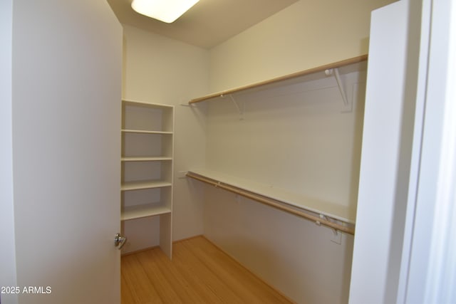 2570 E Manzanita St, Apache Junction, AZ 85119 - walk in closet featuring light wood finished floors