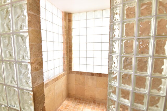 2570 E Manzanita St, Apache Junction, AZ 85119 - bathroom with a walk in shower and tile walls