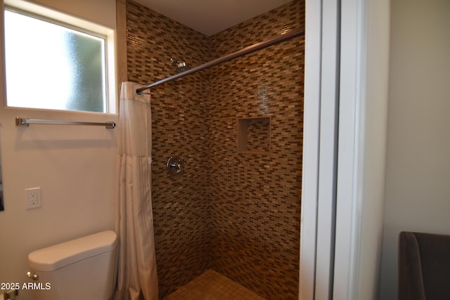 2570 E Manzanita St, Apache Junction, AZ 85119 - bathroom with tiled shower and toilet