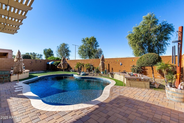 view of swimming pool featuring a patio area