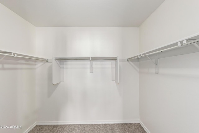 spacious closet featuring carpet floors