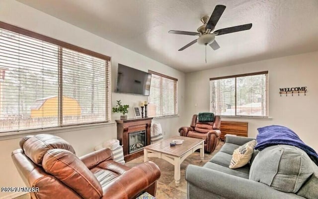 2600 W Old Linden Rd, Show Low, AZ 85901 - living room with a ceiling fan and a glass covered fireplace