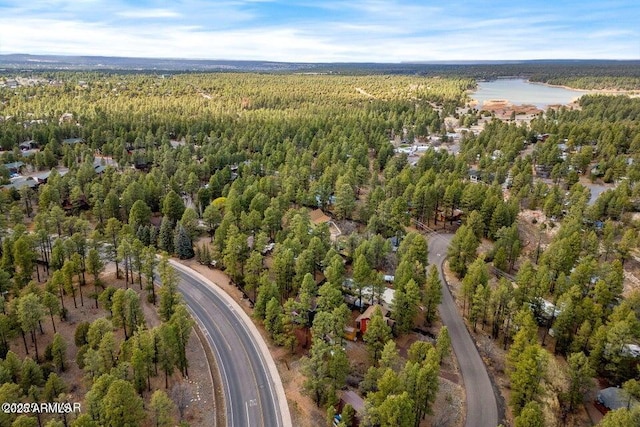 2600 W Old Linden Rd, Show Low, AZ 85901 - aerial view of property's location with a forest and a nearby body of water