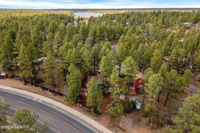 2600 W Old Linden Rd, Show Low, AZ 85901 - aerial view of a forest and a large body of water