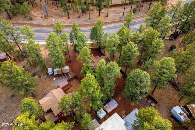 2600 W Old Linden Rd, Show Low, AZ 85901 - aerial view