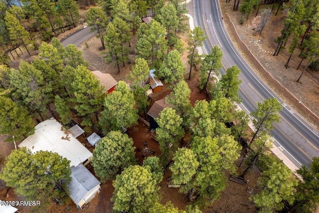 2600 W Old Linden Rd, Show Low, AZ 85901 - aerial view of property and surrounding area