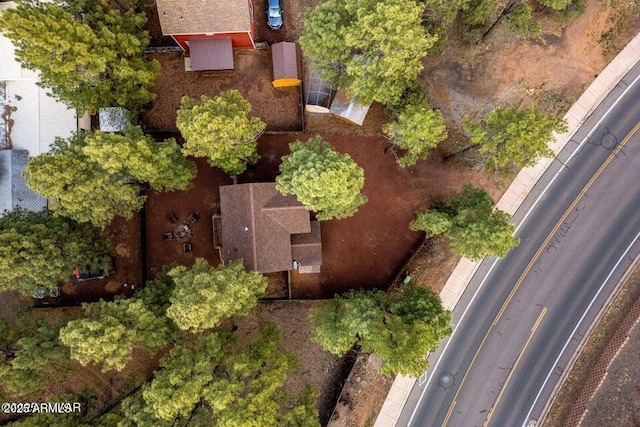 2600 W Old Linden Rd, Show Low, AZ 85901 - aerial overview of property's location
