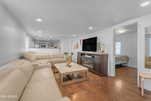 living room with wood-type flooring