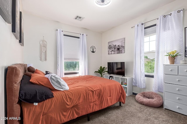 4243 E Jasper Dr, Gilbert, AZ 85296 - bedroom featuring carpet floors and multiple windows