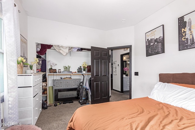 4243 E Jasper Dr, Gilbert, AZ 85296 - view of carpeted bedroom